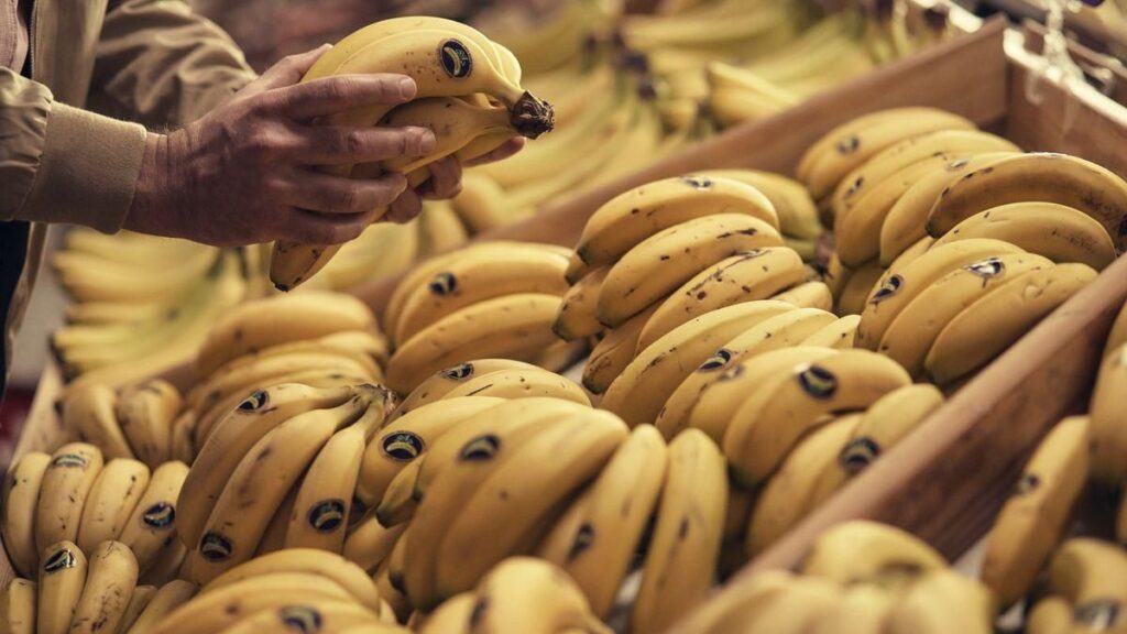 bananenpreis kanarische inseln tiefstand 2026