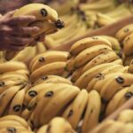 bananenpreis kanarische inseln tiefstand 2026