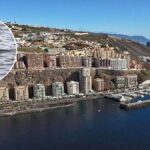 hai teneriffa gesichtet tauchwettbewerb