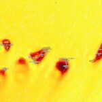 hitzewarnung teneriffa gran canaria