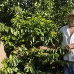 kaffee agaete igp gran canaria