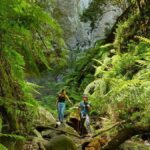 la palma deutscher tourismus boom rekord