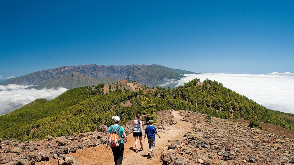 la palma tourismus erholung tajogaite