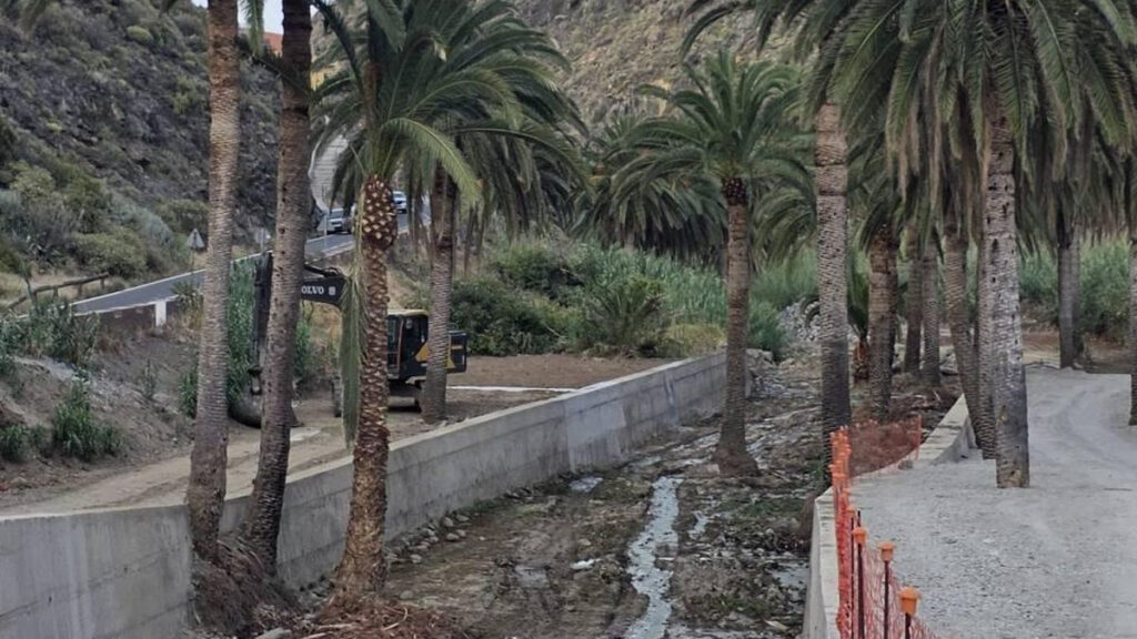 palmen beton vallehermoso la gomera