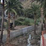 palmen beton vallehermoso la gomera
