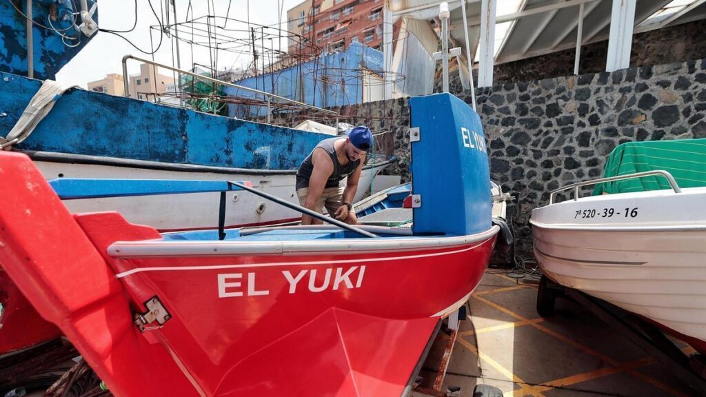 punta del hidalgo fischer uebernehmen hafen