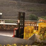 weinlese teneriffa 2026 optimismus