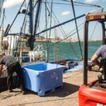 fischerboot monte arballu arrecife gesunken