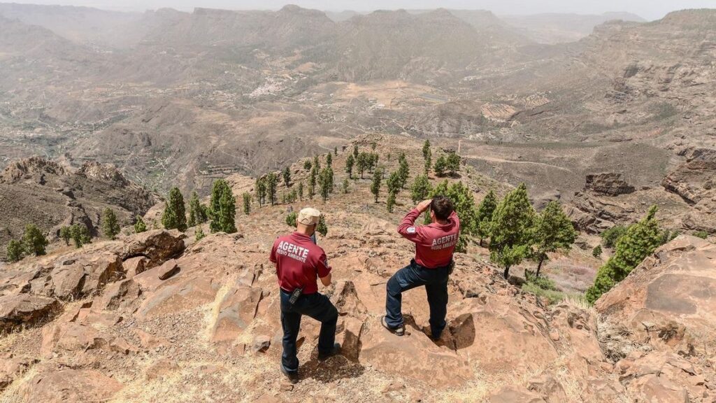 gran canaria waldbrand alarm 2026