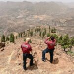 gran canaria waldbrand alarm 2026