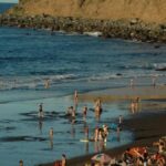 gran fiesta vinos tenerife los realejos