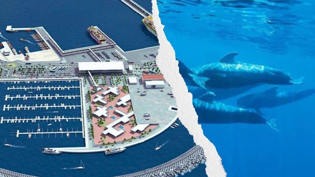 hafen fonsalia teneriffa planung