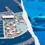 hafen fonsalia teneriffa planung