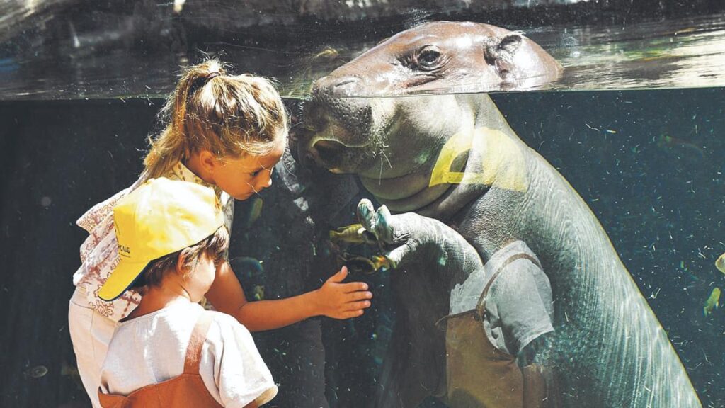 loro parque gratis anwohner punta brava