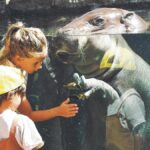 loro parque gratis anwohner punta brava