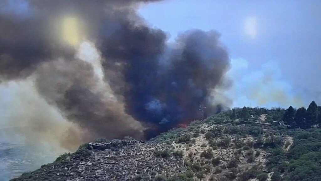 waldbrand telde gran canaria