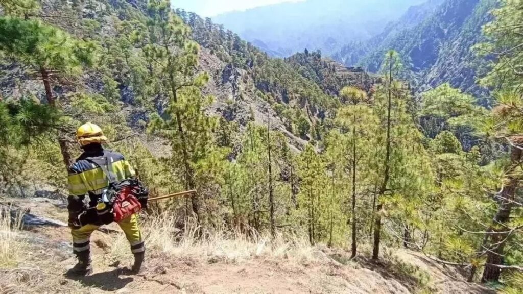 waldbrandalarm gran canaria teneriffa