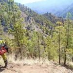 waldbrandalarm gran canaria teneriffa