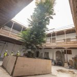 gran canaria institut museen