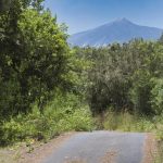 icod de los vinos wanderrouten