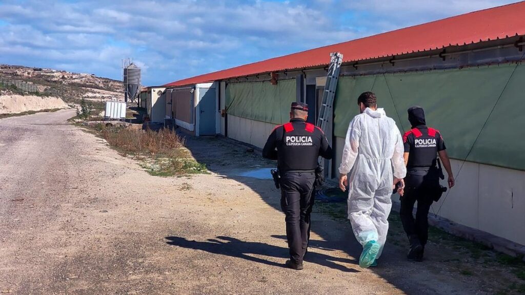 illegaler muellplatz teneriffa asbest