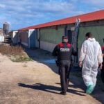 illegaler muellplatz teneriffa asbest