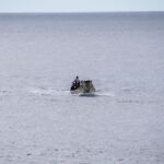 kanaren migration rueckgang 2026