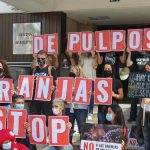 oktopus farm las palmas abgesagt