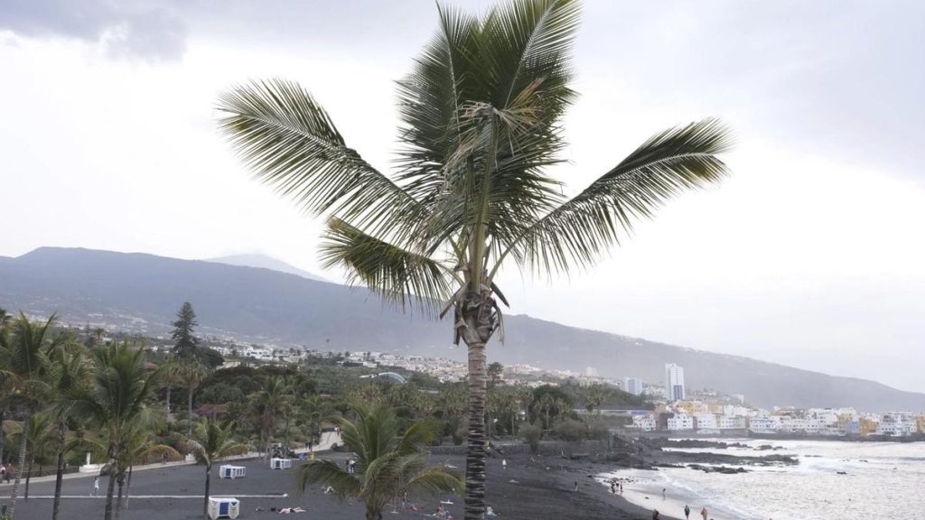 playa jardin puerto cruz wiedereroeffnung