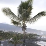 playa jardin puerto cruz wiedereroeffnung