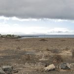 psoe arrecife 521 wohnungen playa el cable